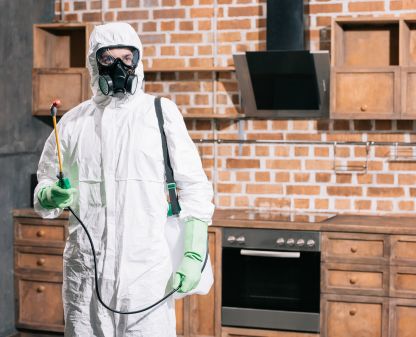 Dedetização profissional