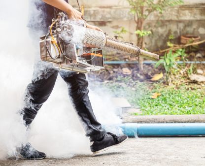 Desinsetização eficiente