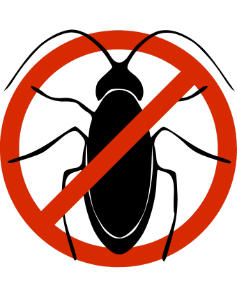 Frases que enfrentamos