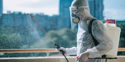 Serviço de Desinsetização - Terminix