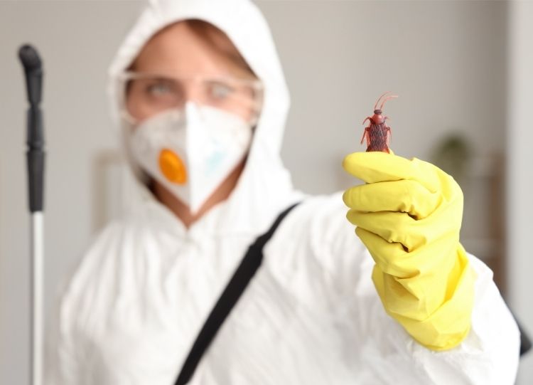 Tecnologia de inspeção preventiva Terminix